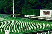 Cimitirul American Din Luxemburg